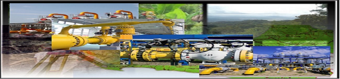 Parama laga energicover