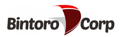 Bintoro sinergi korpora 01