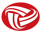 Logo tdk