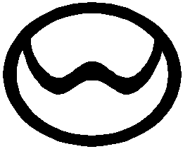 Wonokoyo1