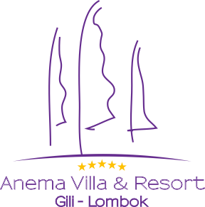 Anema villas hotels