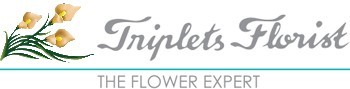 Triple florist