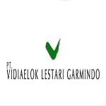 Vidia elok lestari garmindo