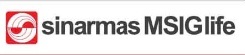 Logo msig