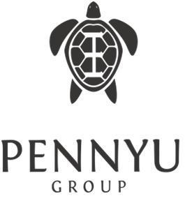 Pennyu group logo