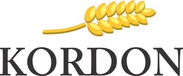 Kordon batu tamponas
