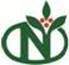 Logo berindo