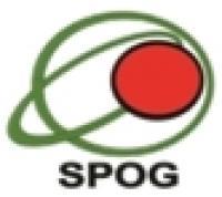 Sriwijaya palm oil group