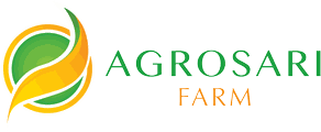Logo 5