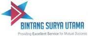 Bintang surya